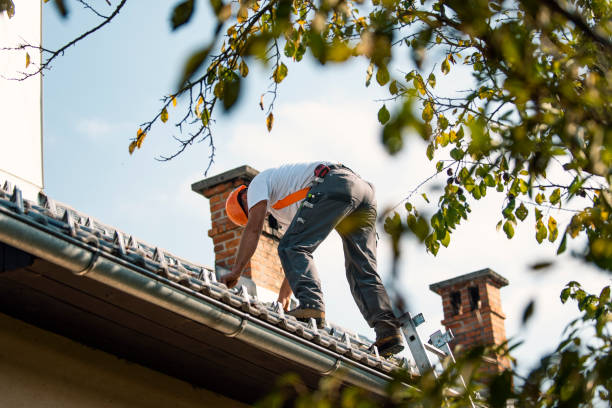 Best Roof Moss and Algae Removal  in Madera, CA